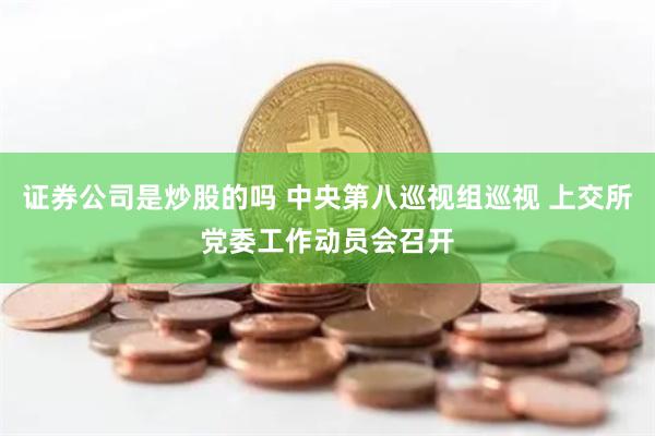 证券公司是炒股的吗 中央第八巡视组巡视 上交所党委工作动员会召开