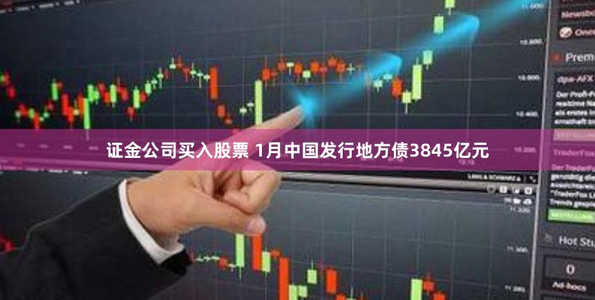 证金公司买入股票 1月中国发行地方债3845亿元