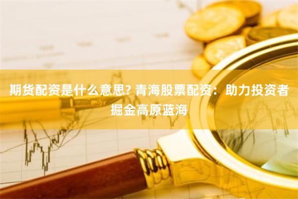 期货配资是什么意思? 青海股票配资：助力投资者掘金高原蓝海